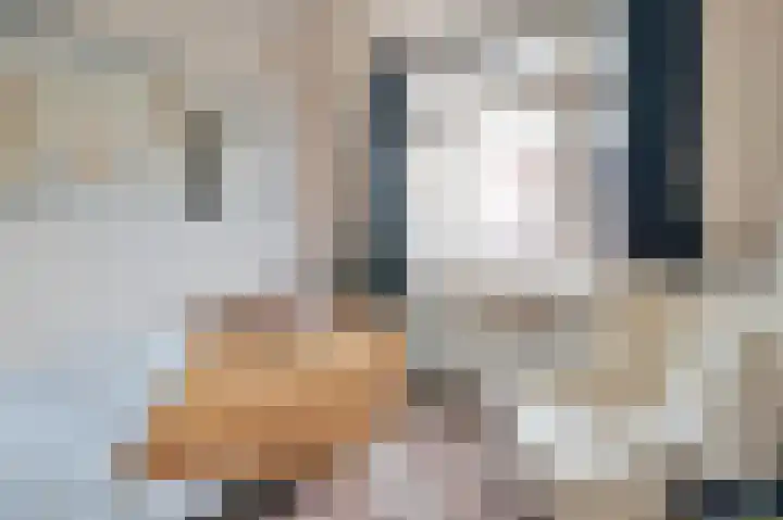 Rozenstraat 95 Hilversum thumbnail 8