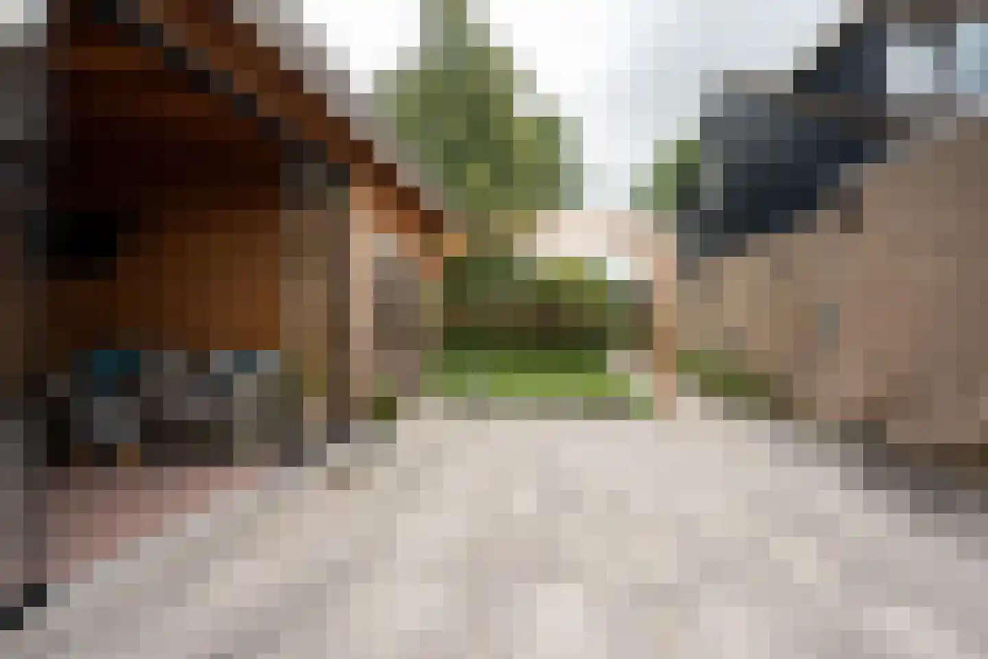 Rozenstraat 97 Bovensmilde thumbnail 23