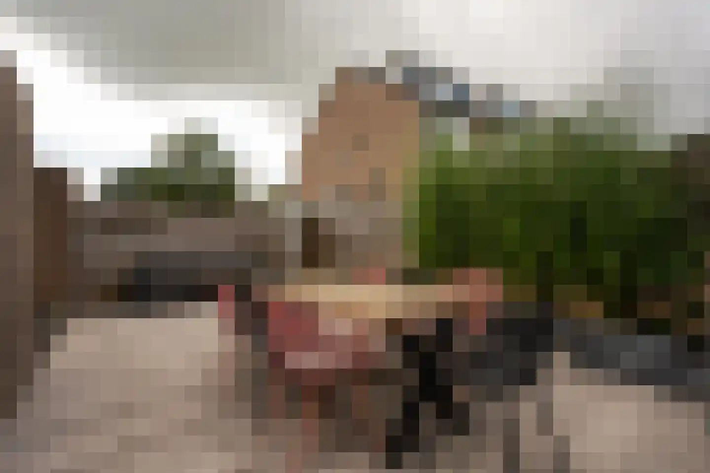 Rozenstraat 97 Bovensmilde thumbnail 24