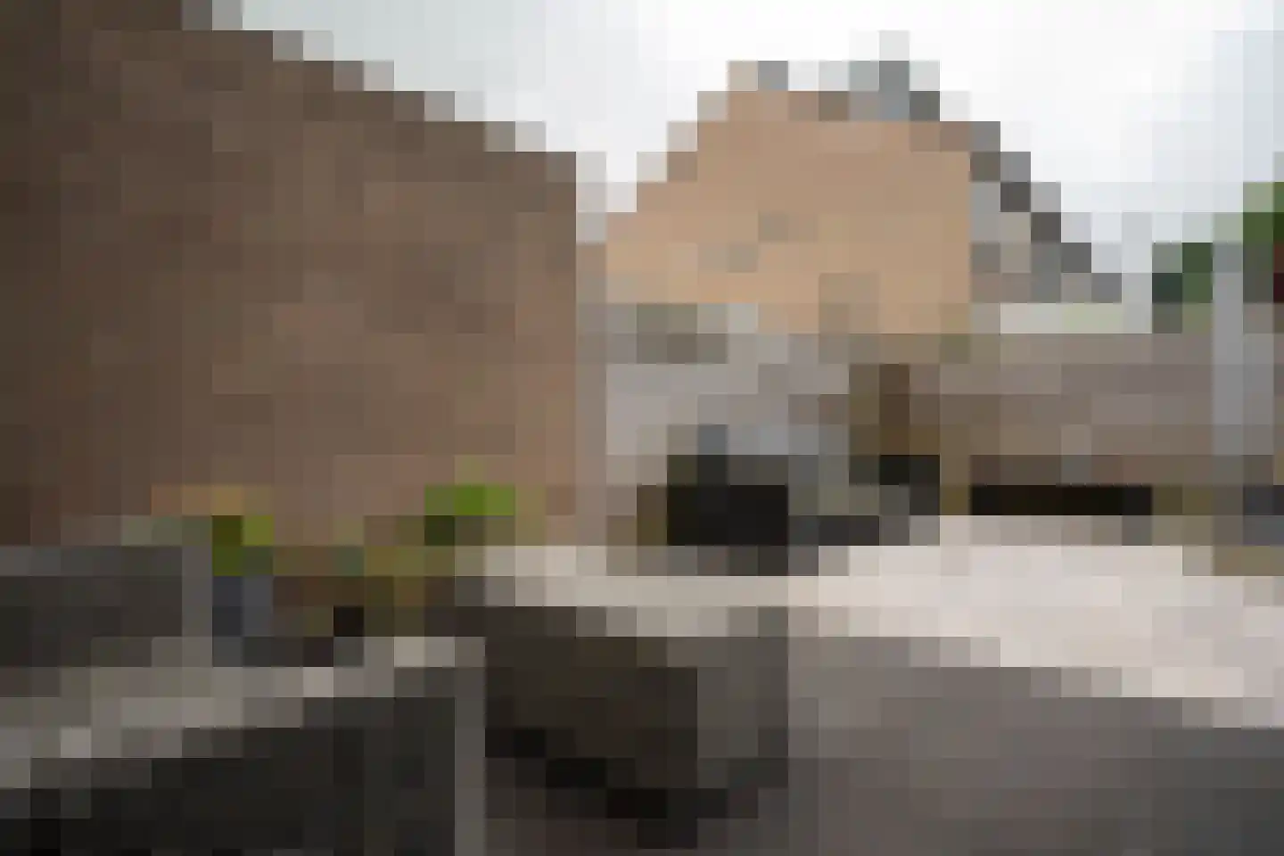Rozenstraat 97 Bovensmilde thumbnail 25