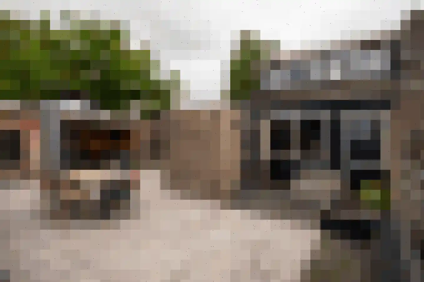 Rozenstraat 97 Bovensmilde thumbnail 26