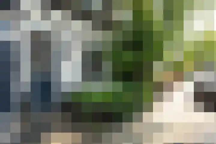 Rozenstraat 97 Hilversum thumbnail 20