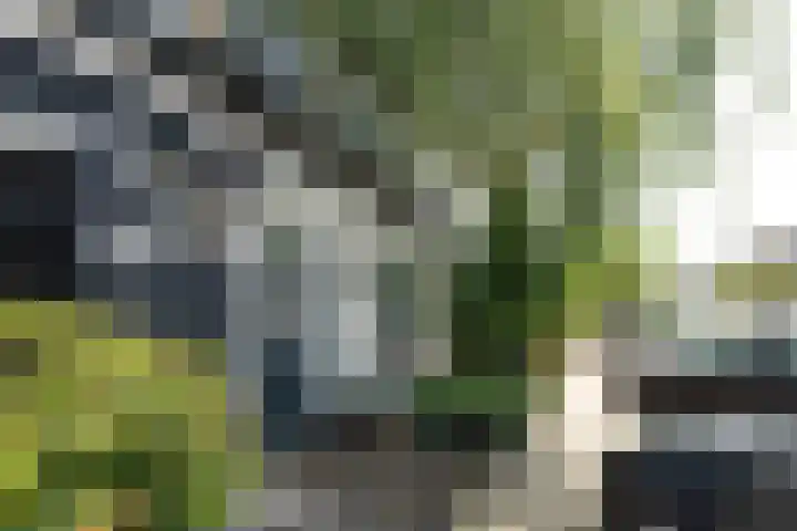 Rozenstraat 97 Hilversum thumbnail 22