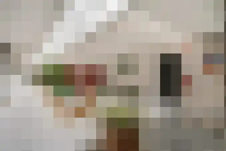Rozenstraat 99 Barneveld thumbnail 10