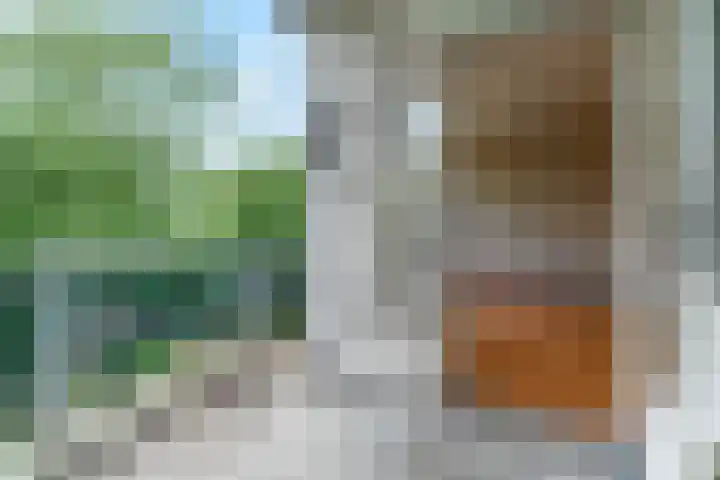 Rozenstraat 99 Barneveld thumbnail 15
