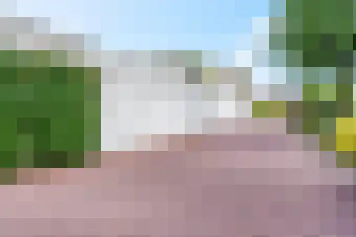 Rozenstraat 99 Barneveld thumbnail 4