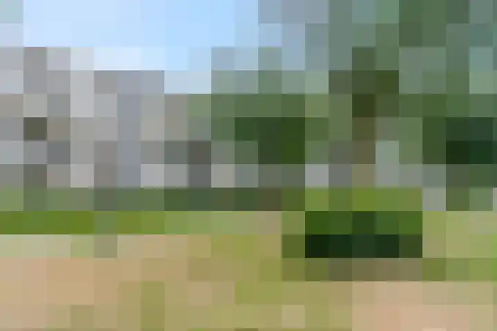 Rozenstraat 99 Barneveld thumbnail 7