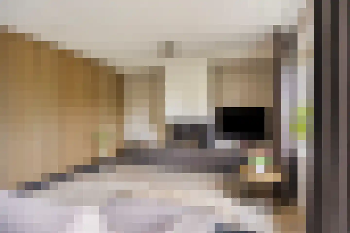 Rozentuin 10 Swifterbant thumbnail 10
