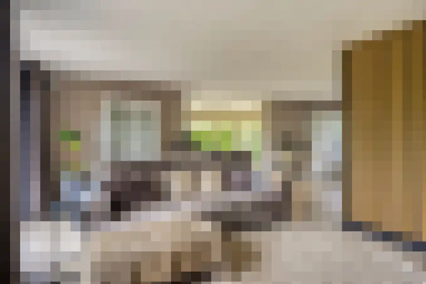 Rozentuin 10 Swifterbant thumbnail 13