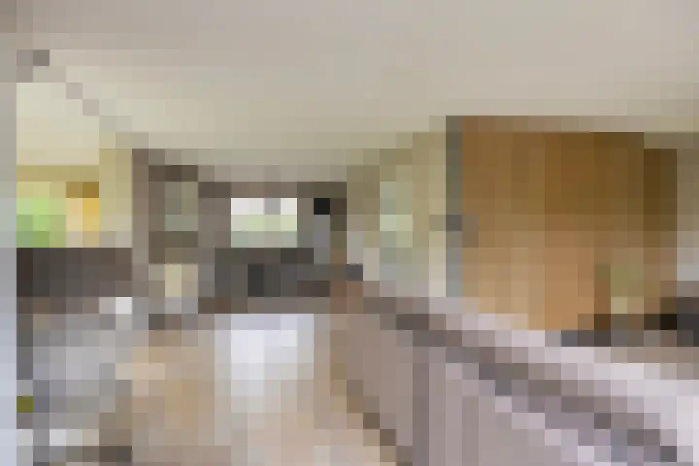Rozentuin 10 Swifterbant thumbnail 14