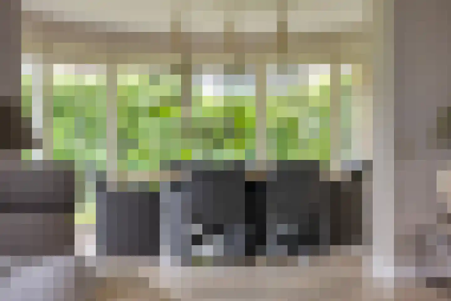 Rozentuin 10 Swifterbant thumbnail 16