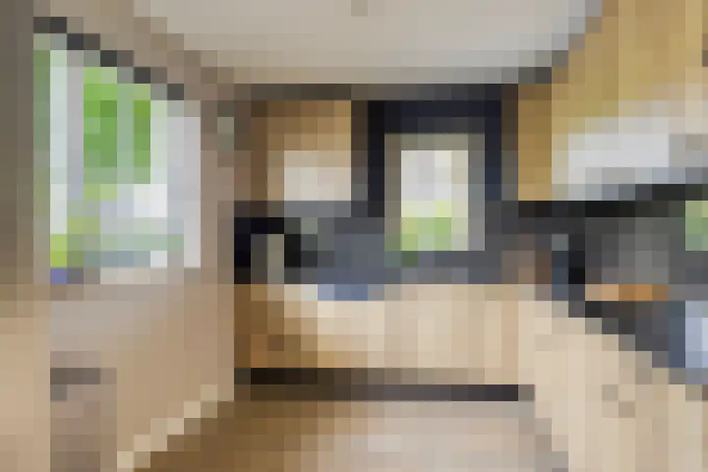 Rozentuin 10 Swifterbant thumbnail 21