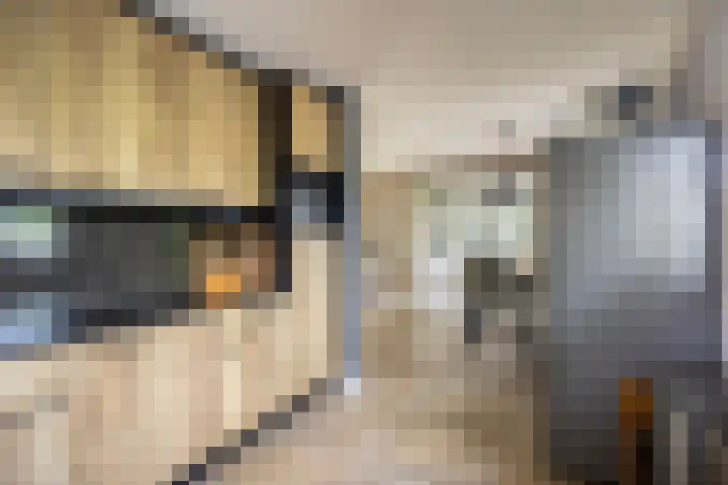 Rozentuin 10 Swifterbant thumbnail 22