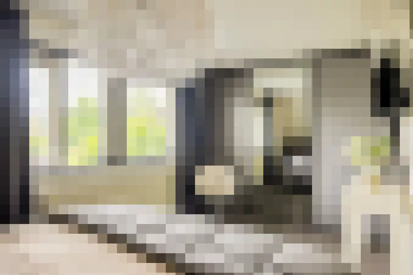 Rozentuin 10 Swifterbant thumbnail 25