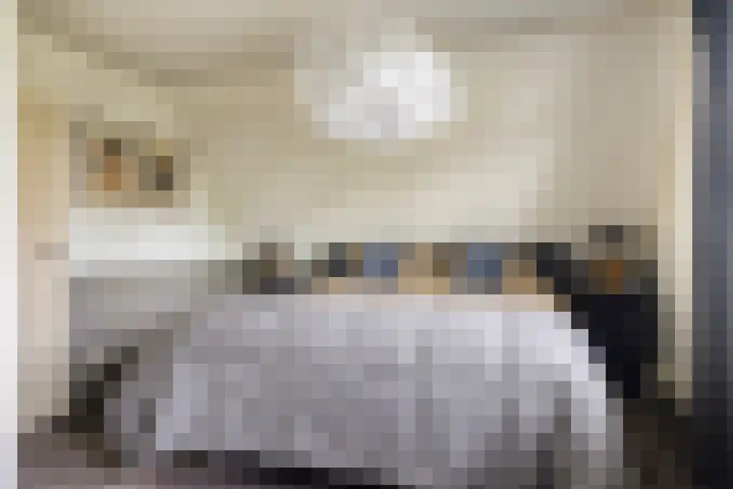 Rozentuin 10 Swifterbant thumbnail 26