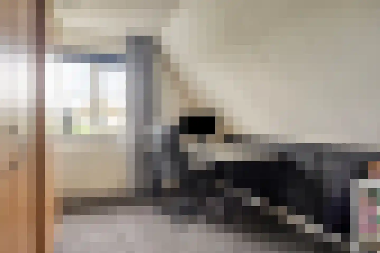 Rozentuin 10 Swifterbant thumbnail 27