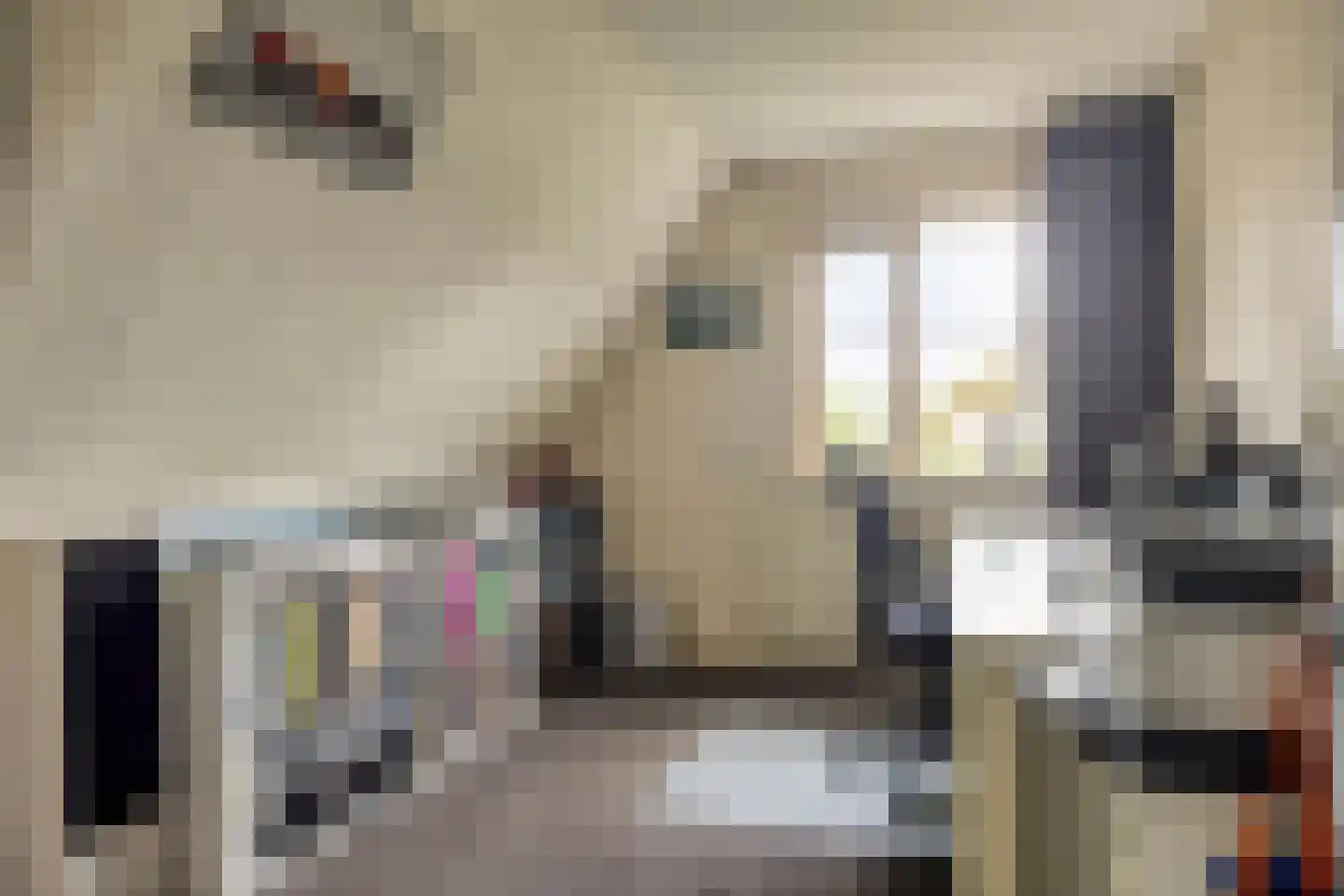 Rozentuin 10 Swifterbant thumbnail 28