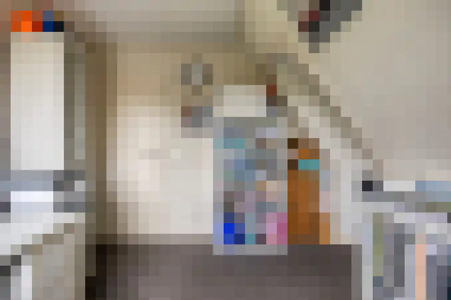 Rozentuin 10 Swifterbant thumbnail 29