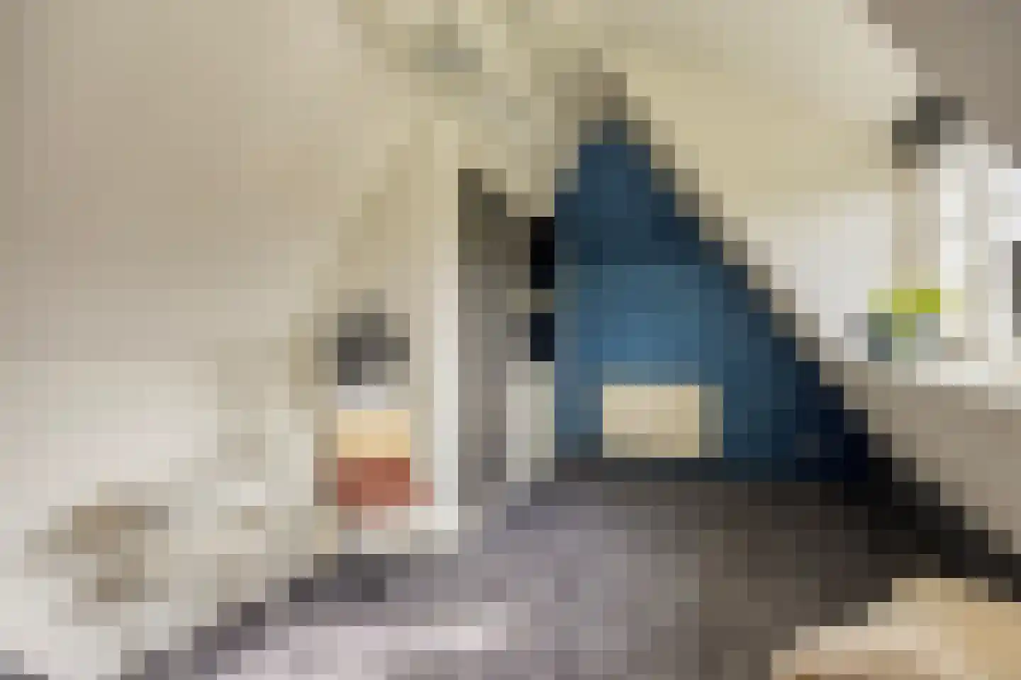 Rozentuin 10 Swifterbant thumbnail 30