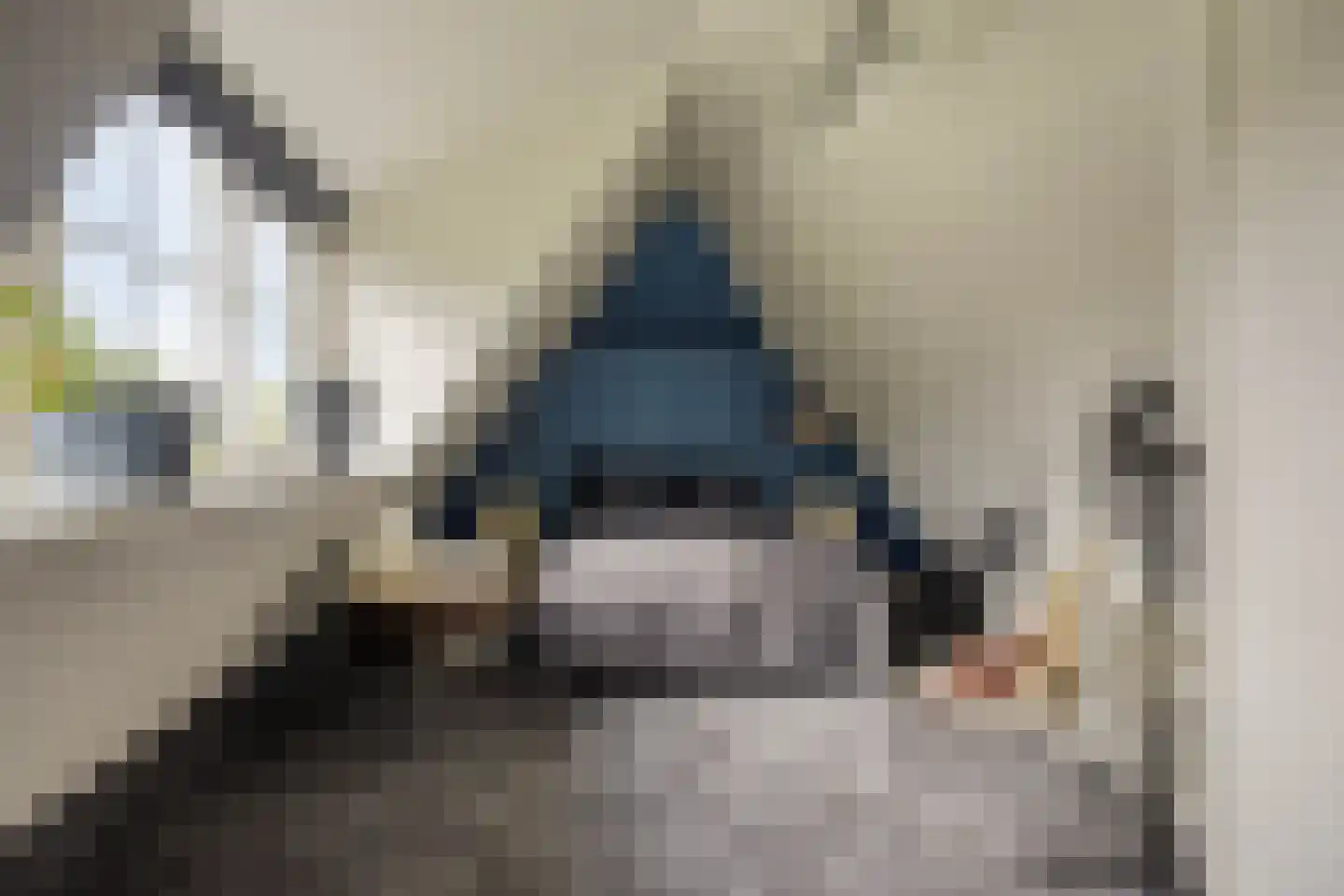 Rozentuin 10 Swifterbant thumbnail 31