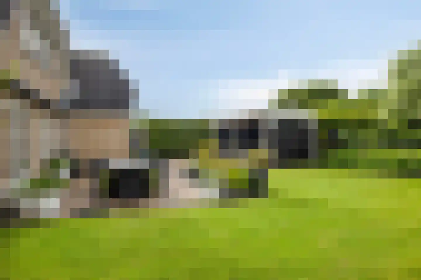 Rozentuin 10 Swifterbant thumbnail 39