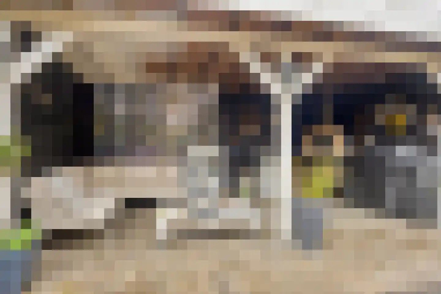 Rozentuin 10 Swifterbant thumbnail 41