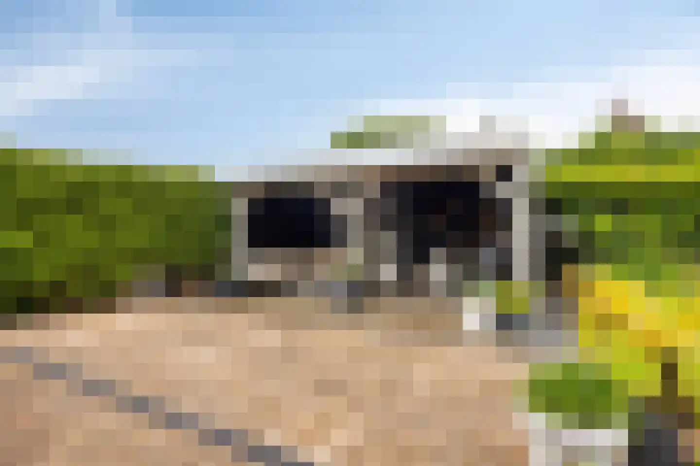 Rozentuin 10 Swifterbant thumbnail 42