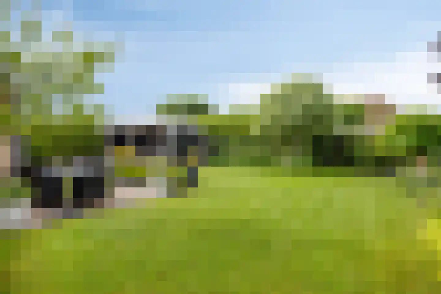 Rozentuin 10 Swifterbant thumbnail 44