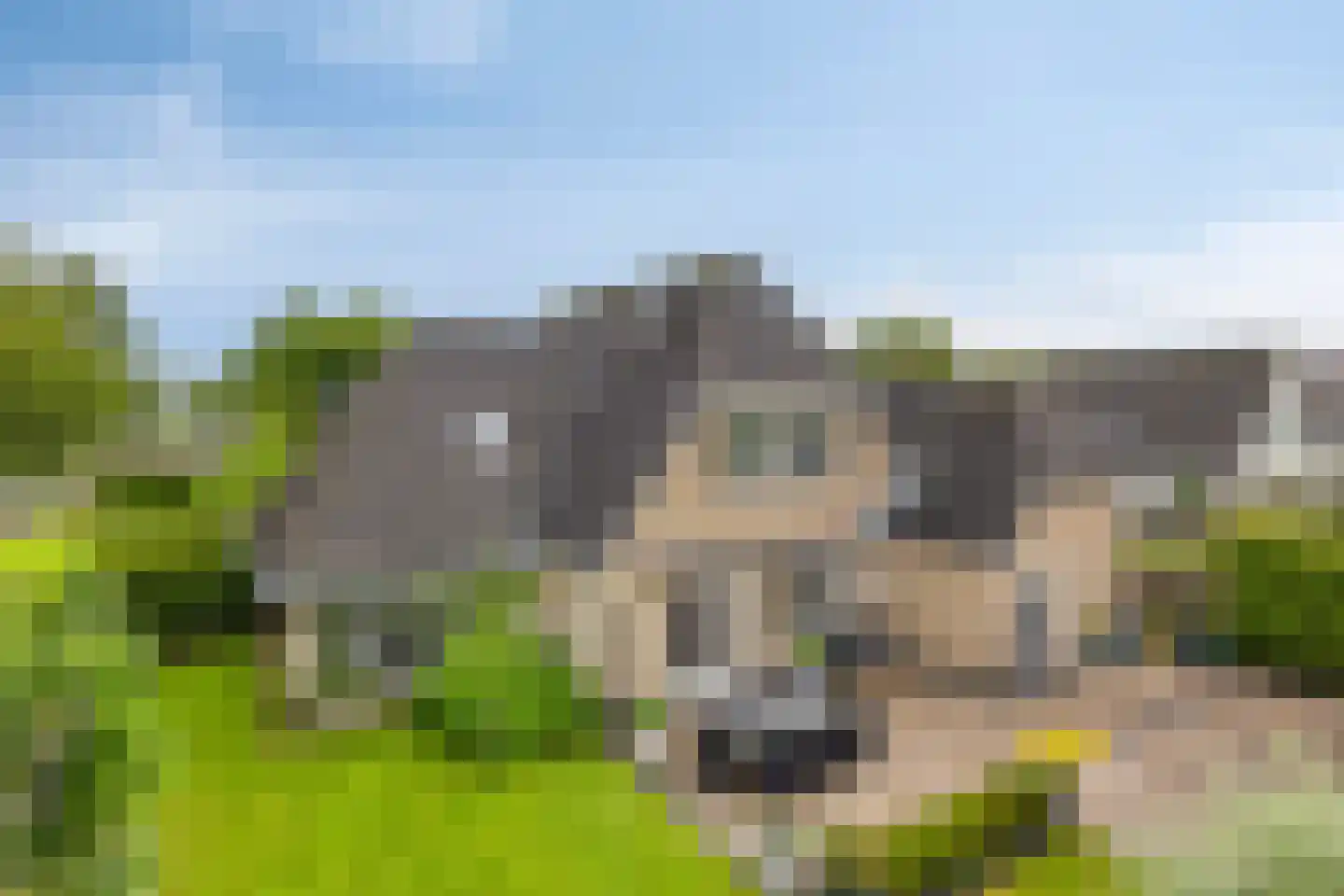 Rozentuin 10 Swifterbant thumbnail 45