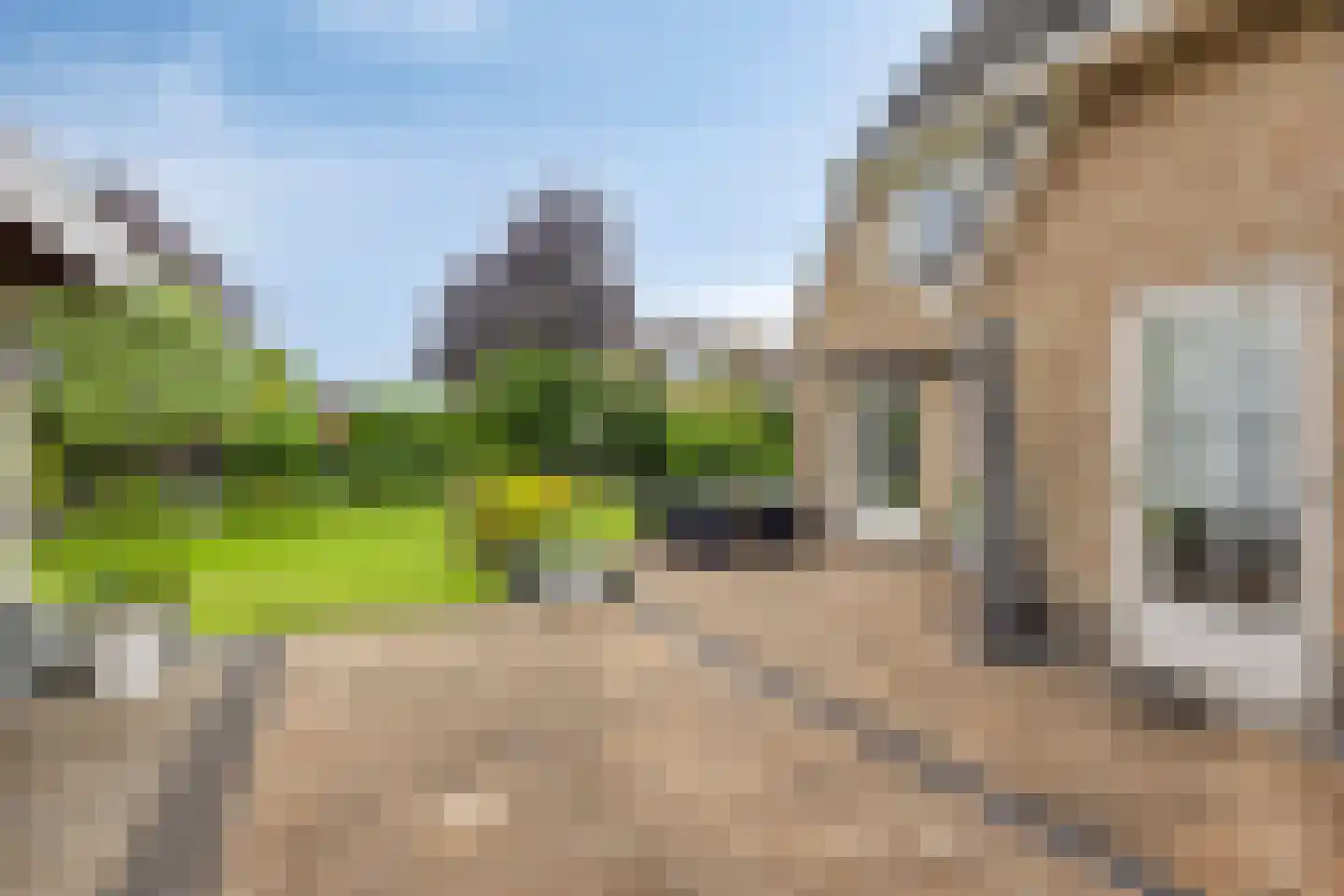 Rozentuin 10 Swifterbant thumbnail 46