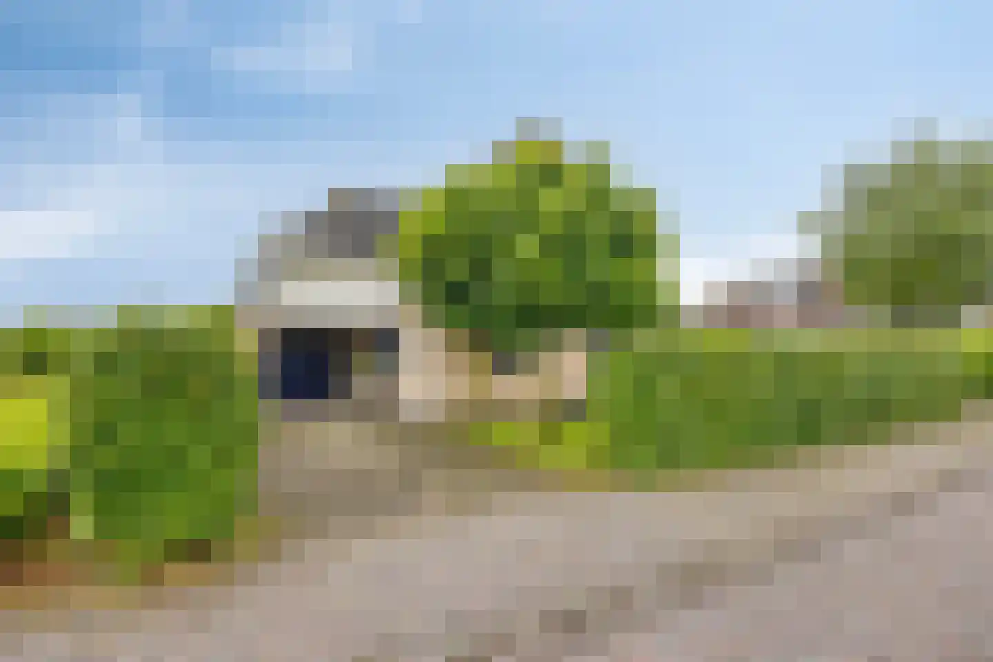 Rozentuin 10 Swifterbant thumbnail 49