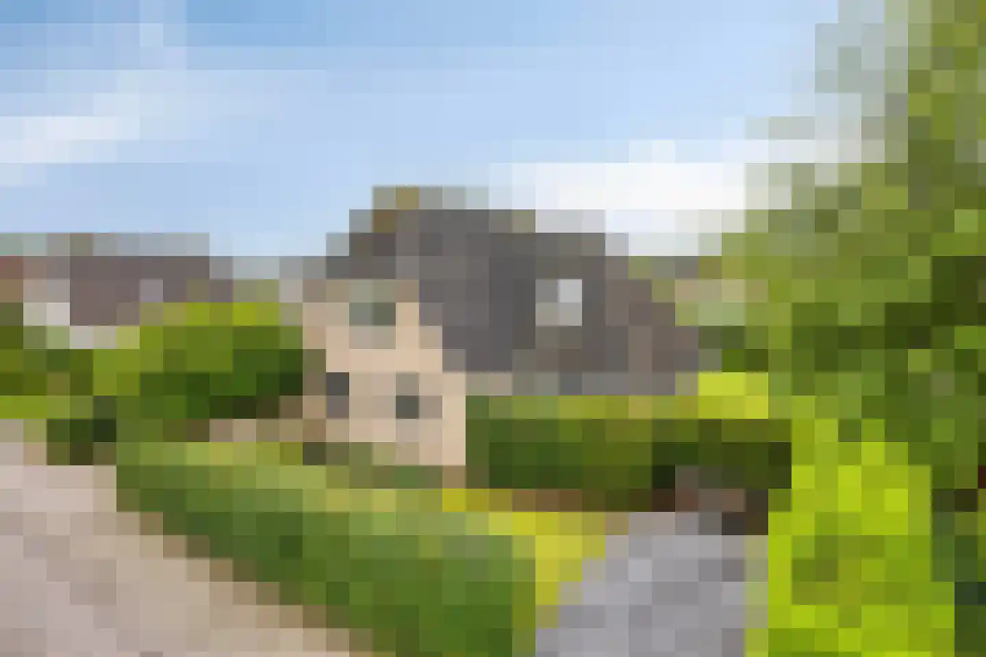 Rozentuin 10 Swifterbant thumbnail 5