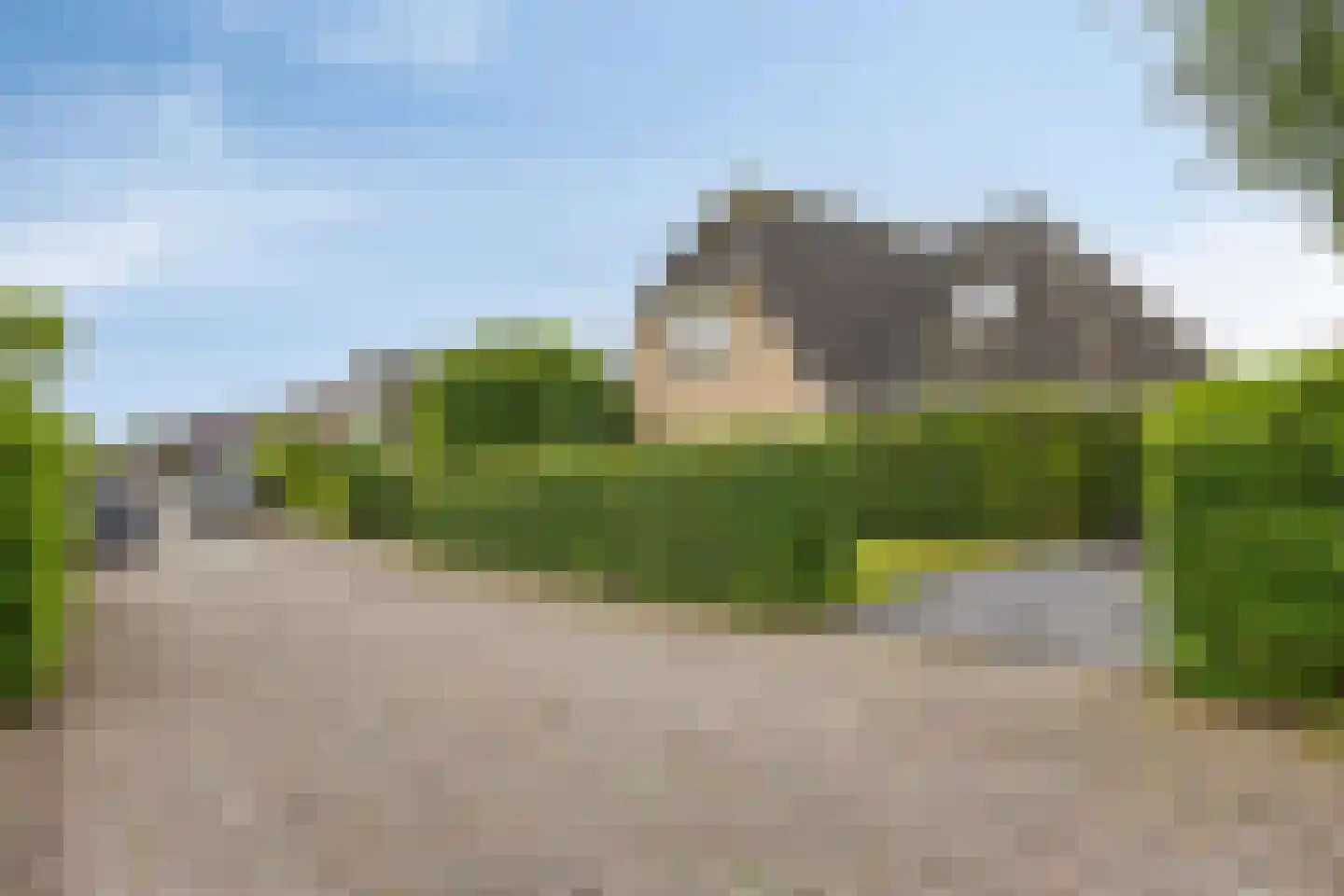 Rozentuin 10 Swifterbant thumbnail 53
