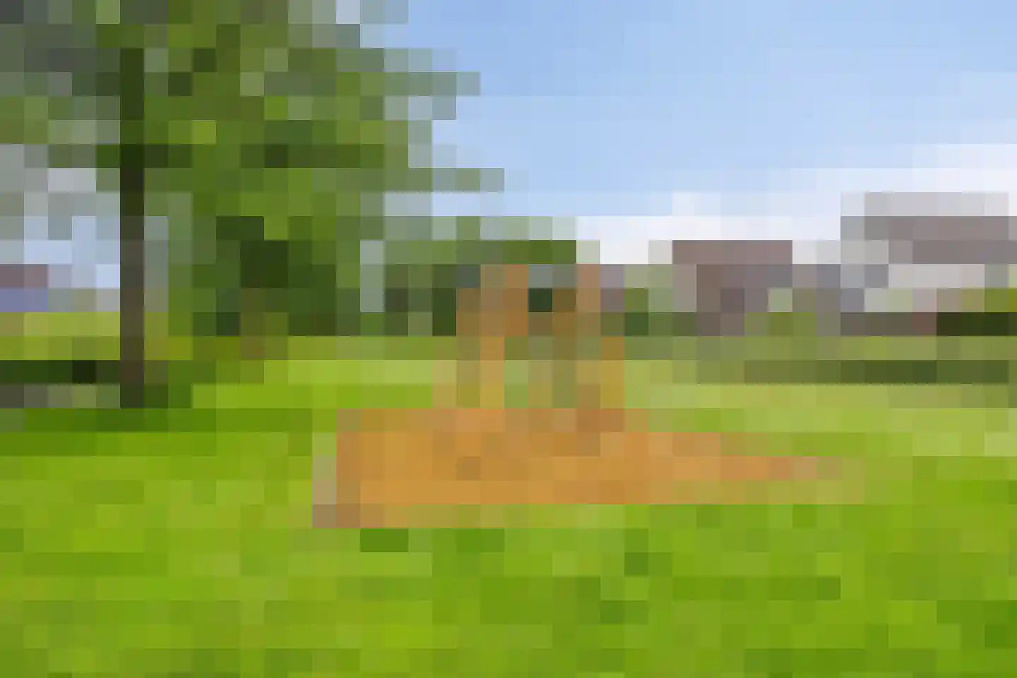 Rozentuin 10 Swifterbant thumbnail 54
