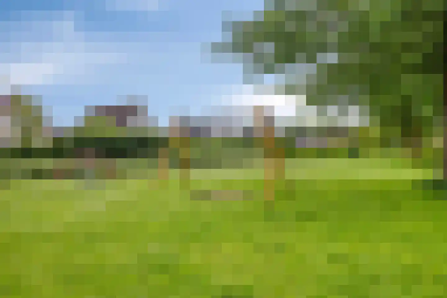 Rozentuin 10 Swifterbant thumbnail 55