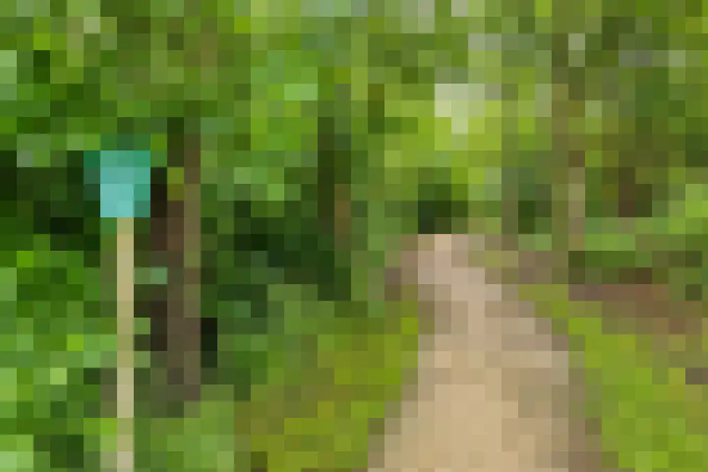 Rozentuin 10 Swifterbant thumbnail 56