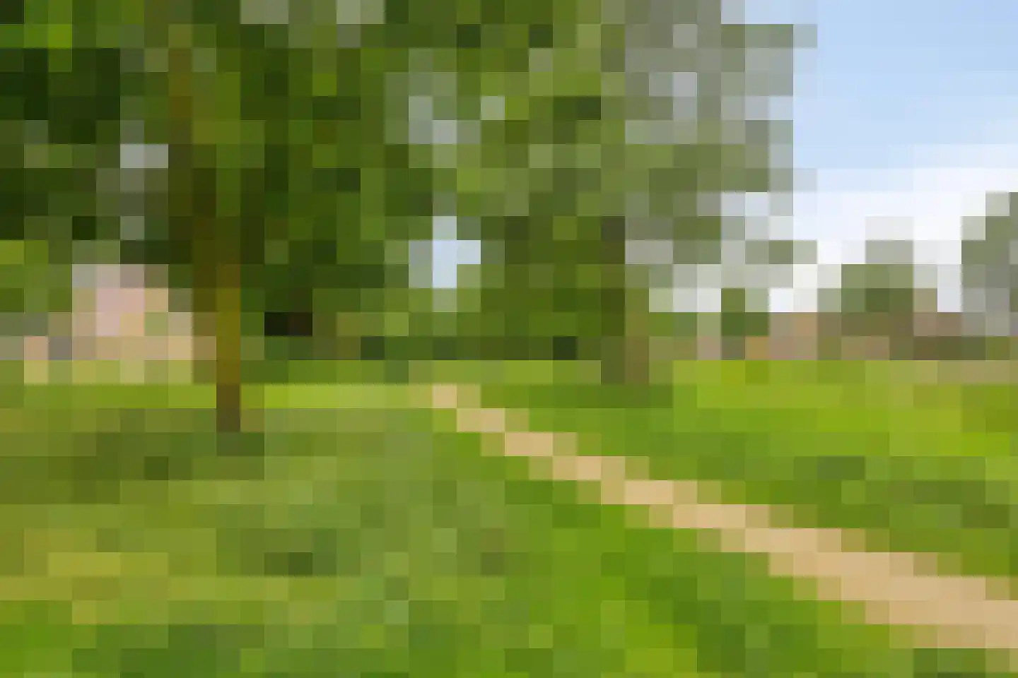 Rozentuin 10 Swifterbant thumbnail 57