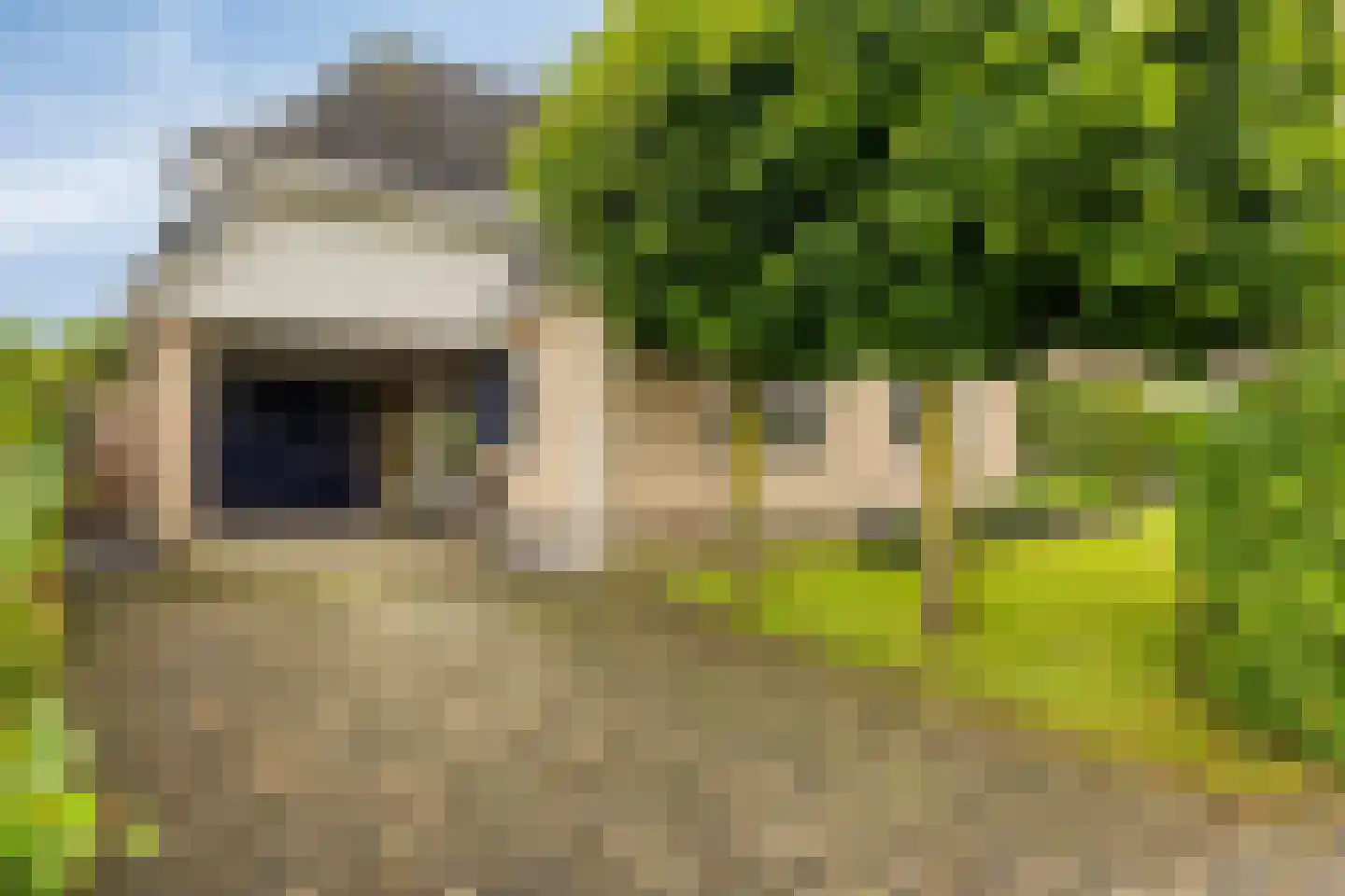 Rozentuin 10 Swifterbant thumbnail 6