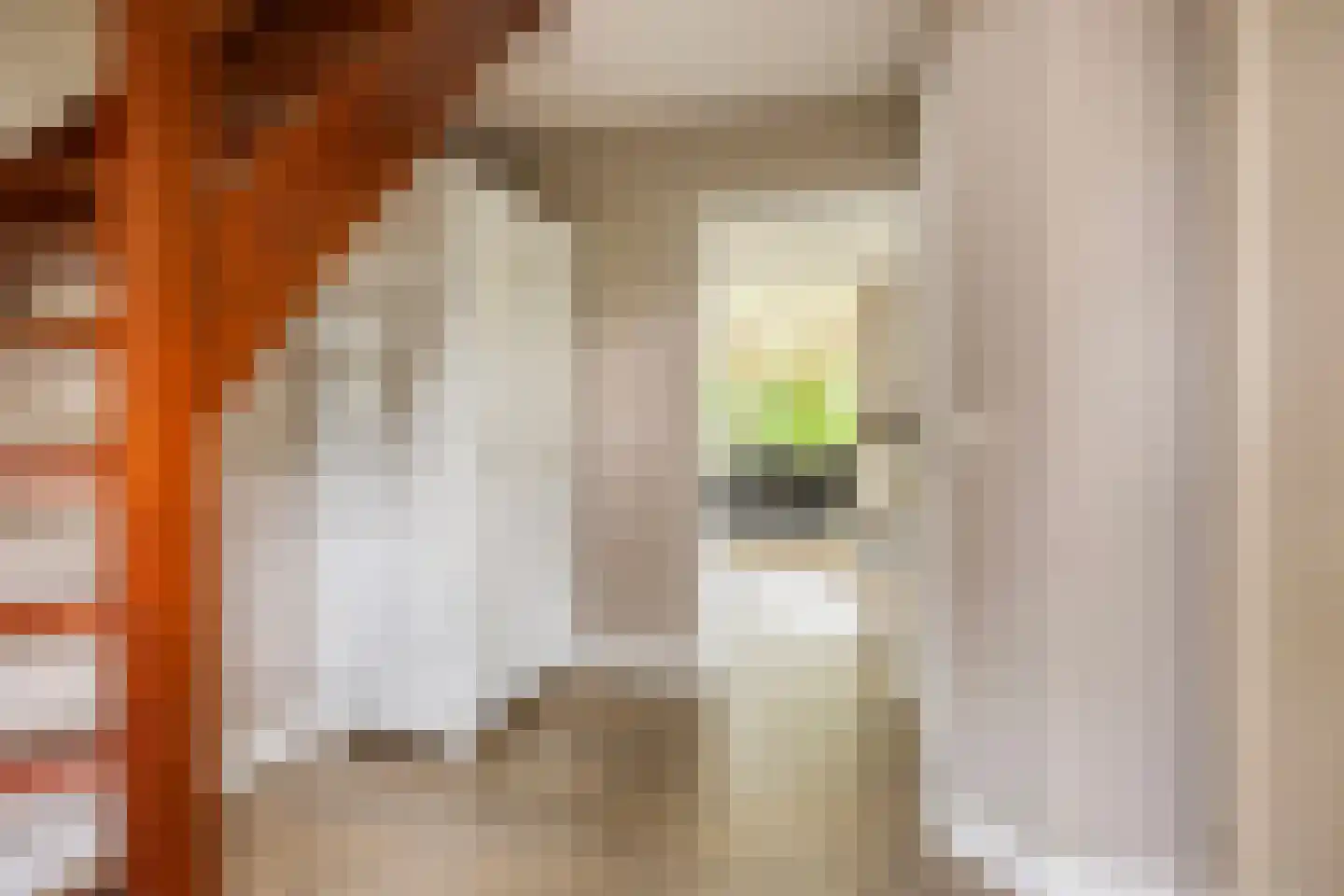 Rozentuin 10 Swifterbant thumbnail 7