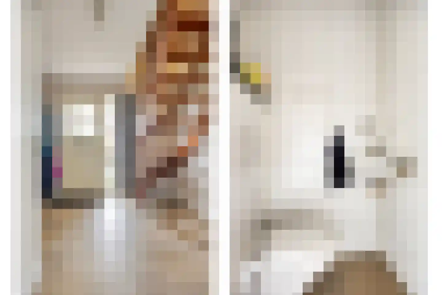 Rozentuin 10 Swifterbant thumbnail 8