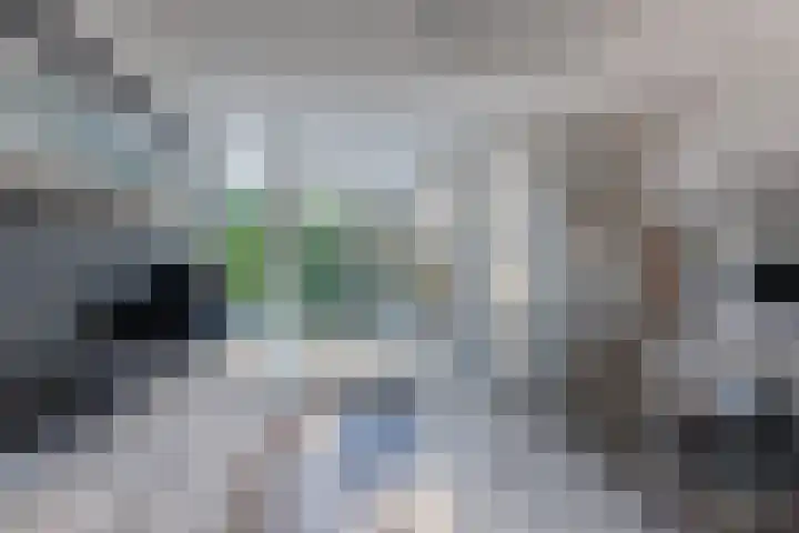 Rozentuin 108 Voorburg thumbnail 11