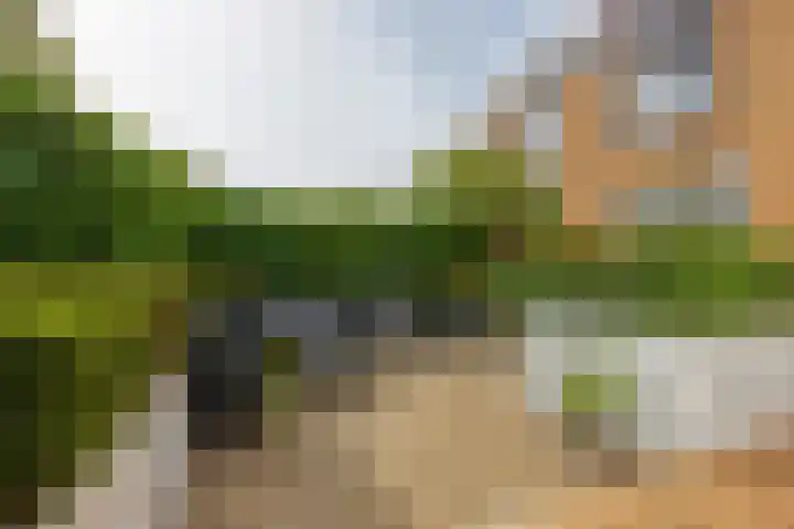 Rozentuin 108 Voorburg thumbnail 14