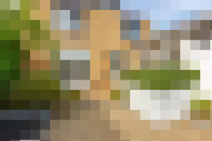 Rozentuin 108 Voorburg thumbnail 15
