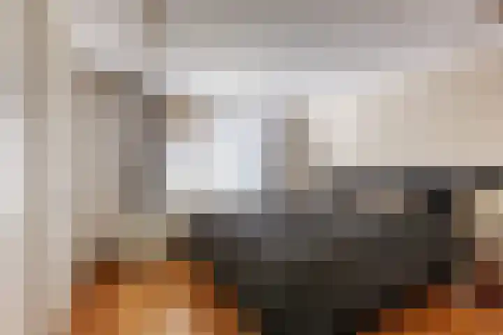 Rozentuin 108 Voorburg thumbnail 18