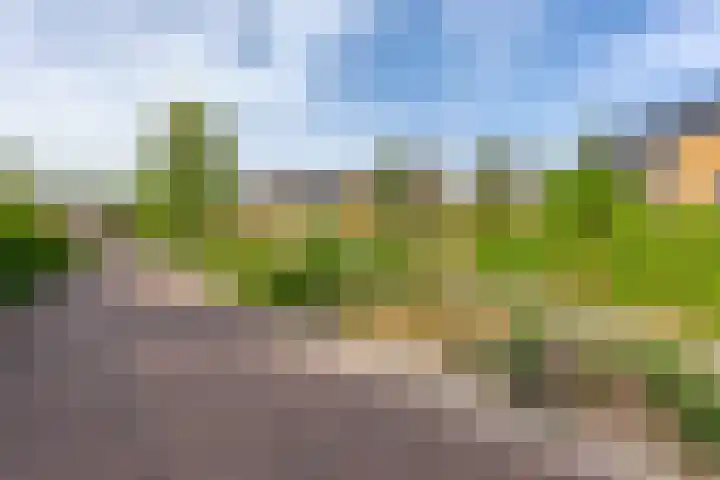 Rozentuin 108 Voorburg thumbnail 36