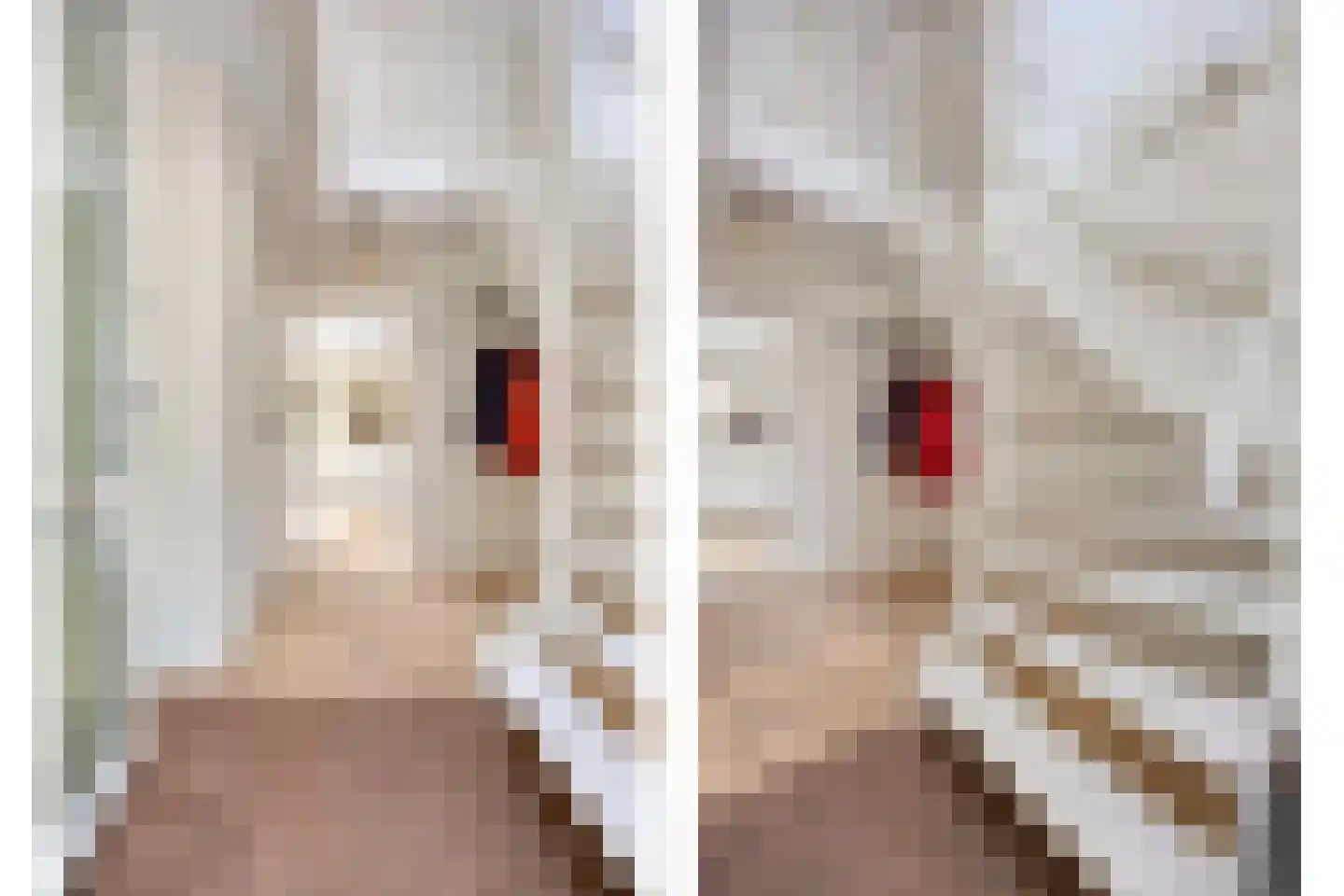 Rozentuin 22 Houten thumbnail 18
