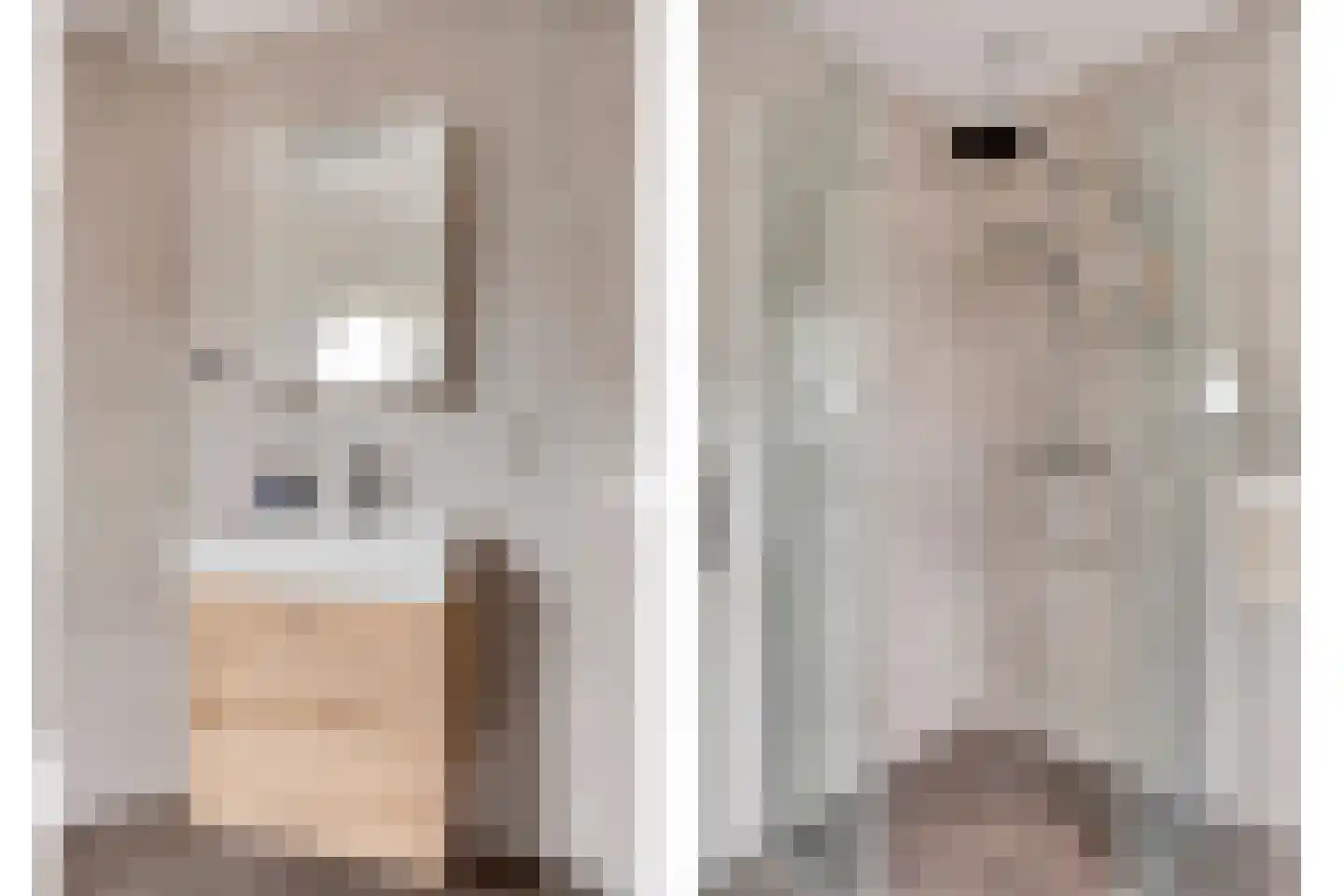 Rozentuin 22 Houten thumbnail 27