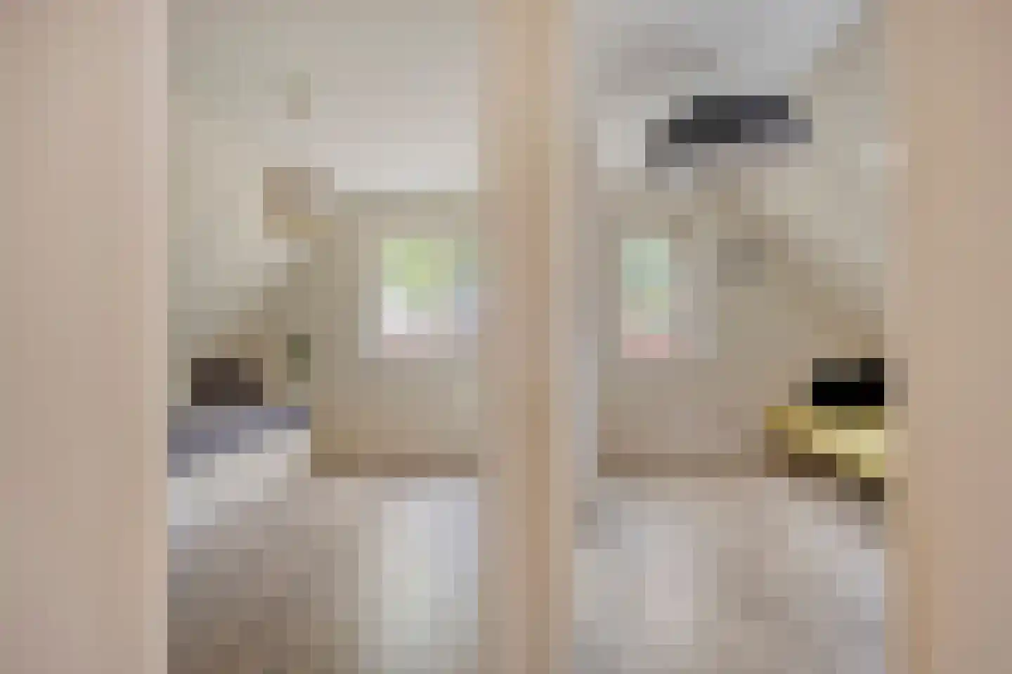 Rozentuin 22 Houten thumbnail 32
