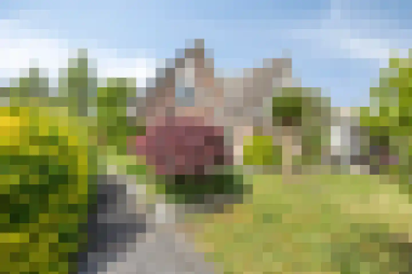 Rozentuin 22 Houten thumbnail 41