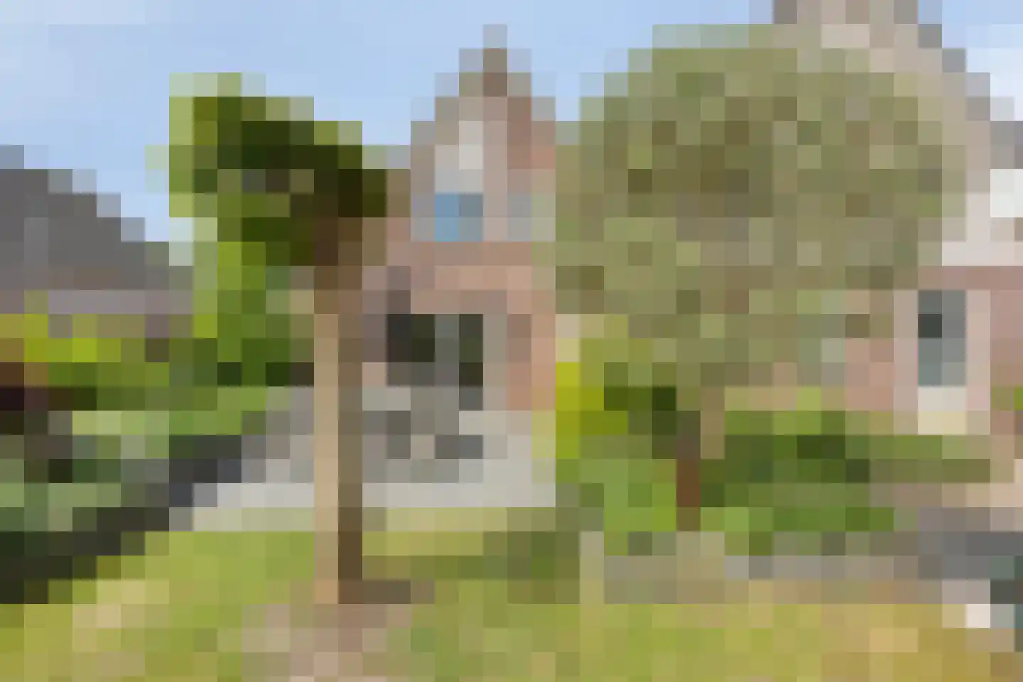 Rozentuin 22 Houten thumbnail 42